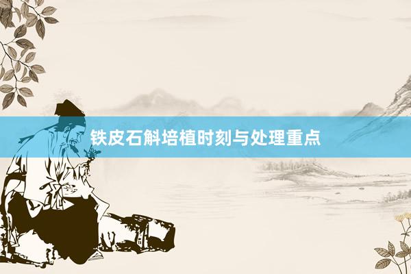 铁皮石斛培植时刻与处理重点