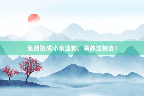 免费赞成小泰迪狗,领养送惊喜!