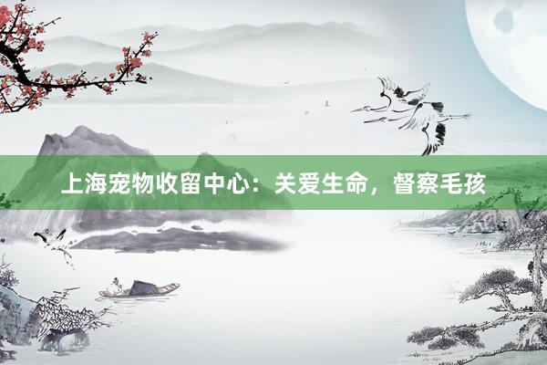 上海宠物收留中心:关爱生命,督察毛孩