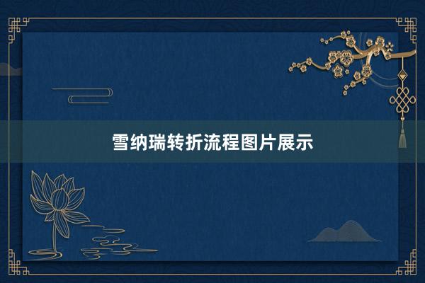 雪纳瑞转折流程图片展示