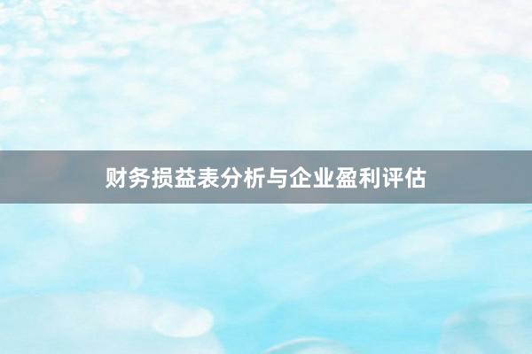 财务损益表分析与企业盈利评估